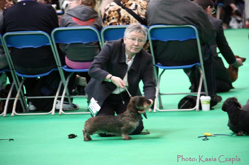 Crufts2011_2 1279.jpg